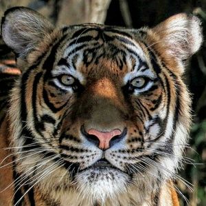 Meet your Posher, Marquetta